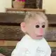 Аватар канала переходник