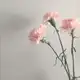 Аватар канала Слюбовyou