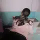 Аватар канала somna