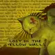 Аватар канала 𝑳𝒐𝒔𝒕 𝒊𝒏 𝒕𝒉𝒆 𝒚𝒆𝒍𝒍𝒐𝒘 𝒘𝒂𝒍𝒍𝒔. [𝑰𝑵𝑭𝑶]