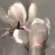 Аватар канала 𓇢 𓆸