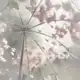 Аватар канала ? ?