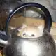 Аватар канала Ну лад алад