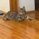 Аватар канала Переходник