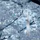 Аватар канала Rain