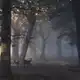 Аватар канала Кмм