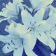 Аватар канала ۫⸼ ▭ׅ࣪⃝‌ ᨮִ ꪱꪀᠻ᥆ 𝗮𝗯𝘁 𝗺𝗲 𝇌ׄ ִ𓈒