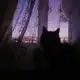 Аватар канала землч взорвется