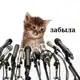 Аватар канала Vixis