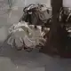Аватар канала eichm.