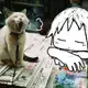 Аватар канала IRL CONFESSION