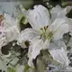 Аватар канала ˚₊‧꒰ა 𝕱𝖗𝖎𝖌𝖑𝖎 𝖎𝖓𝖋𝖔 ໒꒱ ‧₊˚