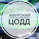 Аватар канала Амурский ЦОДД