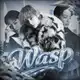 Аватар канала РЕСТ WASP
