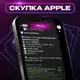Аватар канала ПВЗ|СКУПКА|НЕДОТЕМЩИКИ