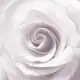 Аватар канала ㅤㅤㅤ ׄ 𝒸𝗋𝖾𝖺𝗆𝗒 𝗅𝗎𝗄𝖺 ִ ׄ