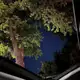 Аватар канала Онамни гаплари:)