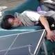 Аватар канала мяуомчик