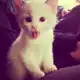 Аватар канала ⋆ мой репост кф !