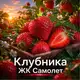 Аватар канала КЛУБНИКА ЖК САМОЛЕТ🍓ШОК ЦЕНА💥