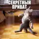 Аватар канала Секретный приват