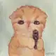 Аватар канала тайкоrrr++
