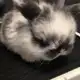 Аватар канала переходник