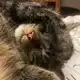 Аватар канала ｻℳℯ𝒸тℯч𝓀ℴ иℋфℴ八