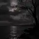 Аватар канала ᴍᴏɴsᴛᴇʀ ᴍᴜsɪᴄ🪐