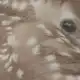 Аватар канала ♯ 𝓜урмя 𝓲𝓷𝓯о꒷🍧