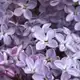 Аватар канала Чердак Амбикс