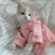 Аватар канала 𝑰𝒏𝒇𝒐 Ⲙⲟⲗⲗυ🪭