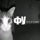 Аватар канала ησɠϲλγωӄα ηαησӄ.