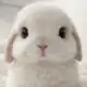 Аватар канала ᅠакемиша🐰