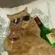 Аватар канала Мусята любимки