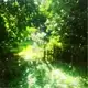 Аватар канала 头部||`𝕻𝕬𝖙𝖊 𝖎𝖓𝕱𝕺 ♱❦.☘️