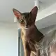 Аватар канала Kiyoko