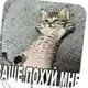 Аватар канала Hikkan life