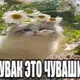 Аватар канала :ПИТӖ ЧӐНКӐ БЛОГ😘