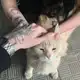 Аватар канала 𝑰𝒔𝒔𝒂𝒓𝒆𝒍𝒍𝒆. ¡! ❞