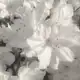 Аватар канала 𝖨𝗇𝖿𝗈 | 🥛