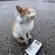 Аватар канала Wiped Out!