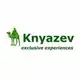 Аватар канала Knyazev
