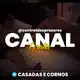 Аватар канала CASADAS E CORNOS(+18)