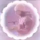 Аватар канала ᵗʰᵉ ʳ ₔ ₐ ˡ 𝓏𝘐𝘨𝑘𝘢𝘵ຂ 𓏲 ꕀ