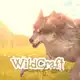Аватар канала WildCraft Confession