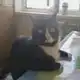 Аватар канала ︎ ︎ ᅠ ︎ ︎ ︎ ︎ ᅠ ︎ ︎ ᅠ