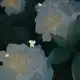 Аватар канала REVERIE-INFO