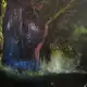 Аватар канала Лесное убежище
