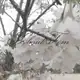 Аватар канала переходница